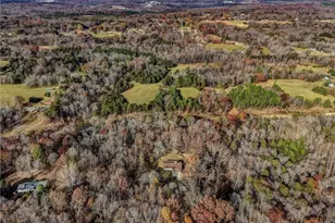 196 Jarrell Rd, Reidsville, NC 27320 - Photo 44