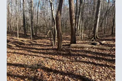 3131 Zz Huffine Mill Road, Gibsonville, NC 27249 - Photo 14