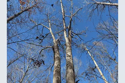 3131 Zz Huffine Mill Road, Gibsonville, NC 27249 - Photo 12