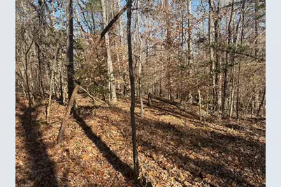 3131 Zz Huffine Mill Road, Gibsonville, NC 27249 - Photo 20