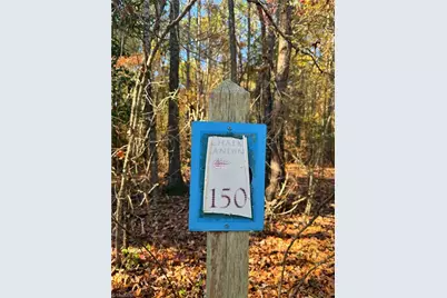 193 N State Lane, Rockingham, NC 28379 - Photo 8