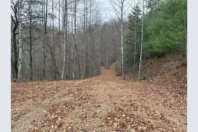 Lot 218 Casey Mountain Road, Purlear, NC 28665 - Photo 22