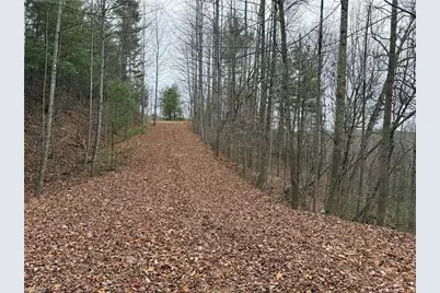 Lot 218 Casey Mountain Road, Purlear, NC 28665 - Photo 20
