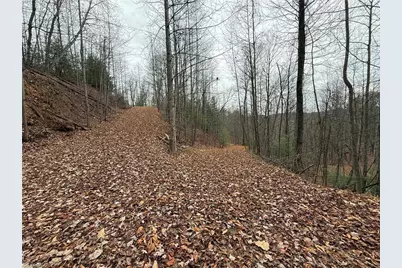 Lot 218 Casey Mountain Road, Purlear, NC 28665 - Photo 8