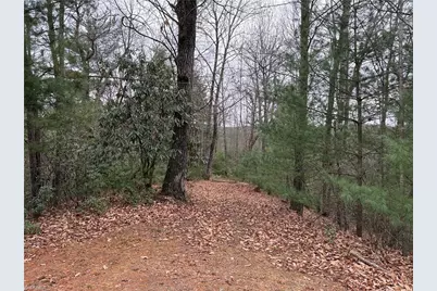 Lot 218 Casey Mountain Road, Purlear, NC 28665 - Photo 18
