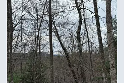 Lot 218 Casey Mountain Road, Purlear, NC 28665 - Photo 14