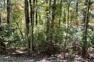 8 Laurel Rd, Purlear, NC 28665 - Photo 1