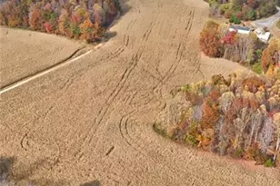 4045 Feather Pond Dr, East Bend, NC 27018 - Photo 6