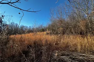 Tbd S Nc Hwy 16, Wilkesboro, NC 28697 - Photo 1