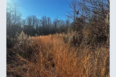 Tbd S Nc Highway 16, Wilkesboro, NC 28697 - Photo 2