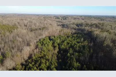 0000 Mulberry Academy Street, Franklinville, NC 27248 - Photo 24