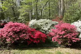 3559 Old Onslow Rd, Greensboro, NC 27407 - Photo 48