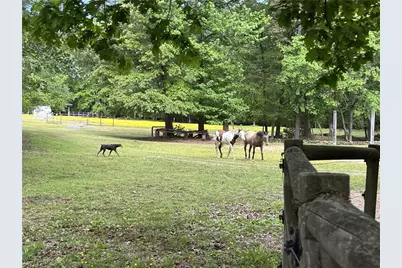 4794 Troy Smith Road, Liberty, NC 27298 - Photo 48