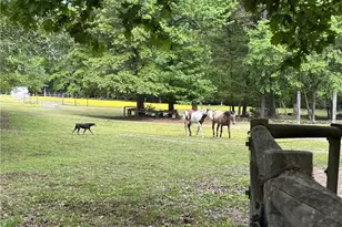 4794 Troy Smith Rd, Liberty, NC 27298 - Photo 48