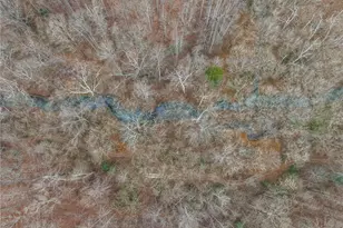 4794 Troy Smith Rd, Liberty, NC 27298 - Photo 44