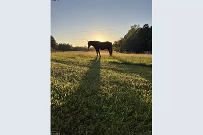 4794 Troy Smith Road, Liberty, NC 27298 - Photo 50
