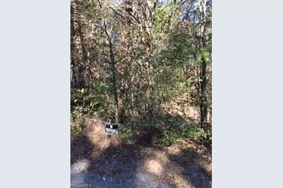 0 Gant Road, Graham, NC 27253 - Photo 6