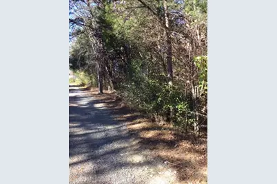 0 Gant Road, Graham, NC 27253 - Photo 4