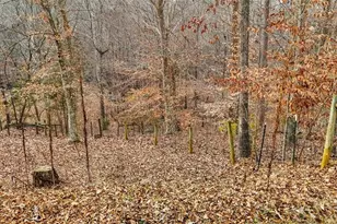 4619 Riveroaks Dr, Randleman, NC 27317 - Photo 50