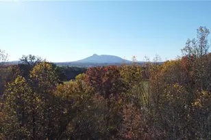 148 Buena Vista Dr, Pilot Mountain, NC 27041 - Photo 12