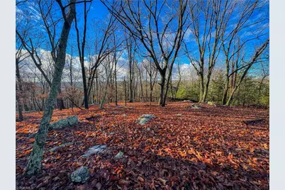 338 Sierra Trace Road, Denton, NC 27239 - Photo 8
