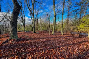 338 Sierra Trace Rd, Denton, NC 27239 - Photo 1