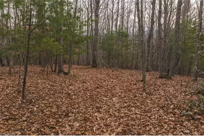 0000 Foster Oliver Lane, Lansing, NC 28643 - Photo 14