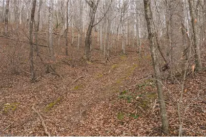 0000 Foster Oliver Lane, Lansing, NC 28643 - Photo 22