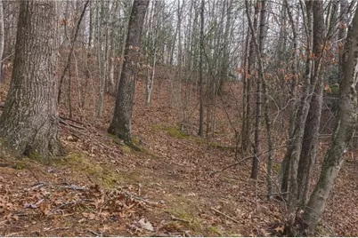 0000 Foster Oliver Lane, Lansing, NC 28643 - Photo 10