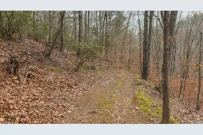 0000 Foster Oliver Lane, Lansing, NC 28643 - Photo 18