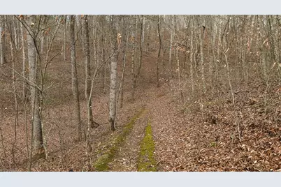 0000 Foster Oliver Lane, Lansing, NC 28643 - Photo 20