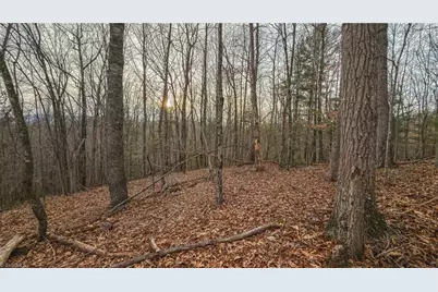 0000 Foster Oliver Lane, Lansing, NC 28643 - Photo 32