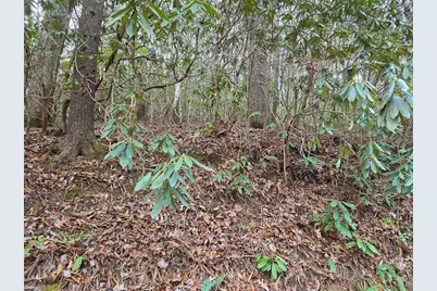 Lot 105 Holleridge Road, Ferguson, NC 28624 - Photo 14