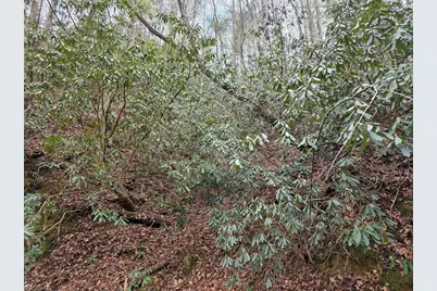 Lot 106 Holleridge Road, Ferguson, NC 28624 - Photo 2