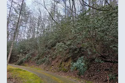 Lot 106 Holleridge Road, Ferguson, NC 28624 - Photo 8