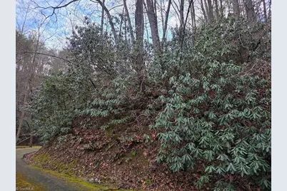 Lot 106 Holleridge Road, Ferguson, NC 28624 - Photo 10