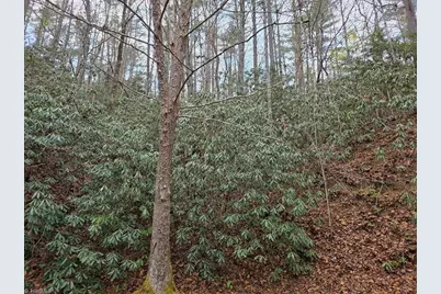 Lot 106 Holleridge Road, Ferguson, NC 28624 - Photo 12