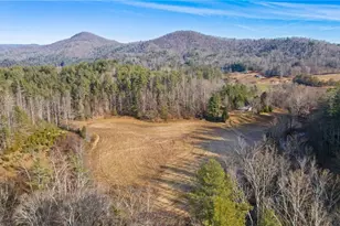 1325 Colvard Rd, Millers Creek, NC 28651 - Photo 8