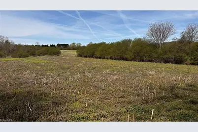 Tbd002 Christian Home Church Road, Traphill, NC 28685 - Photo 22