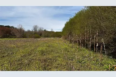 Tbd002 Christian Home Church Road, Traphill, NC 28685 - Photo 12