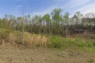 7443 Birchbend Ln, Lewisville, NC 27023 - Photo 1