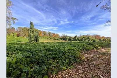 8313 Wrights Farm Lane, Summerfield, NC 27358 - Photo 42