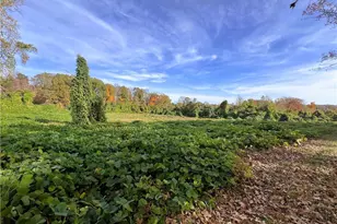 8313 Wrights Farm Ln, Summerfield, NC 27358 - Photo 42