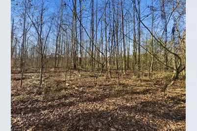 0 S Peace Haven Road, Winston-Salem, NC 27104 - Photo 6