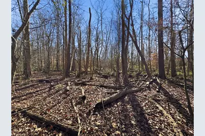 0 S Peace Haven Road, Winston-Salem, NC 27104 - Photo 4