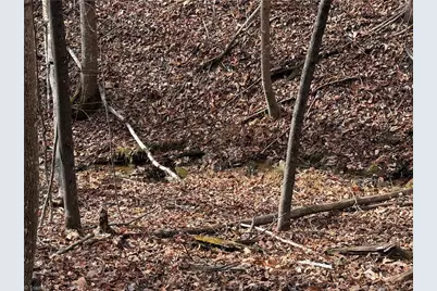 Lot 21 Buck Mountain Road, Purlear, NC 28665 - Photo 6