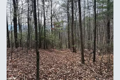 Lot 21 Buck Mountain Road, Purlear, NC 28665 - Photo 10