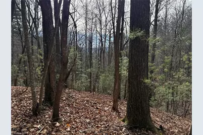 Lot 21 Buck Mountain Road, Purlear, NC 28665 - Photo 8