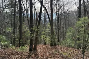 Lot 21 Buck Mountain Rd, Purlear, NC 28665 - Photo 1