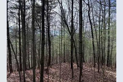 Lot 21 Buck Mountain Road, Purlear, NC 28665 - Photo 8